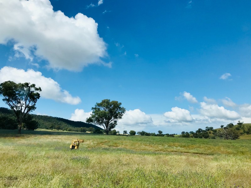 801 Reedy Creek Road, Murga NSW 2864