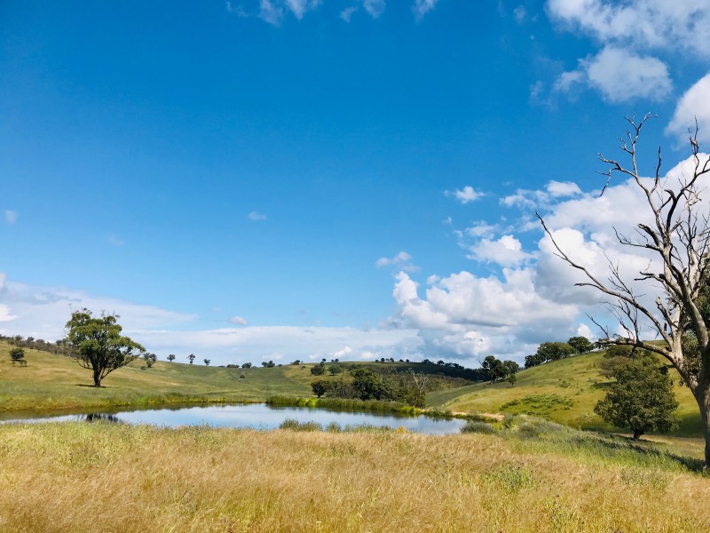 801 Reedy Creek Road, Murga NSW 2864