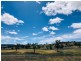 801 Reedy Creek Road, Murga NSW 2864