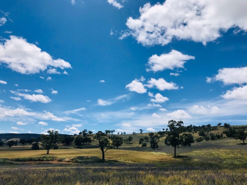 801 Reedy Creek Road, Murga NSW 2864