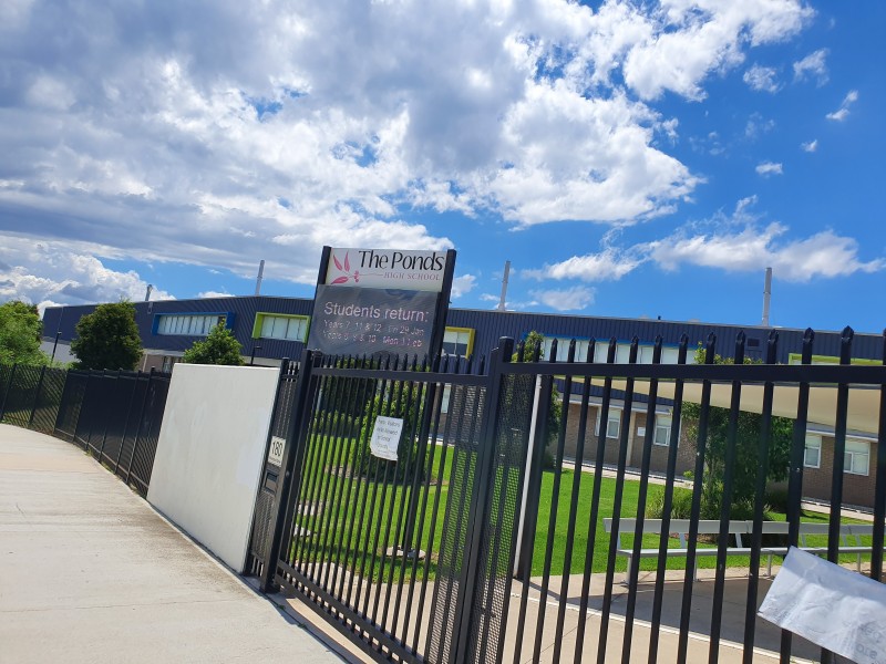 41 Beauchamp Drive, The Ponds NSW 2769