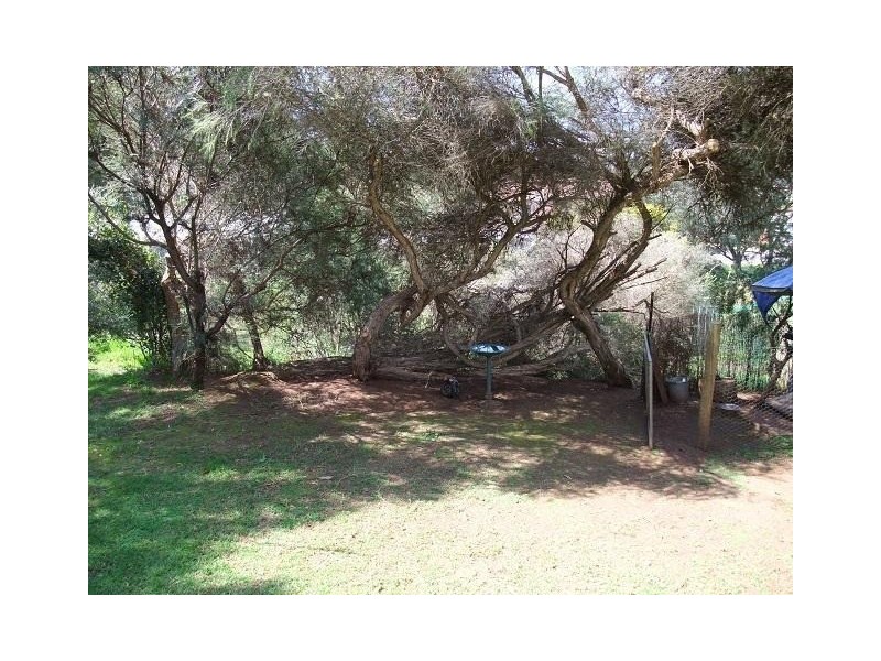 5 Hester Street, Bridgetown WA 6255