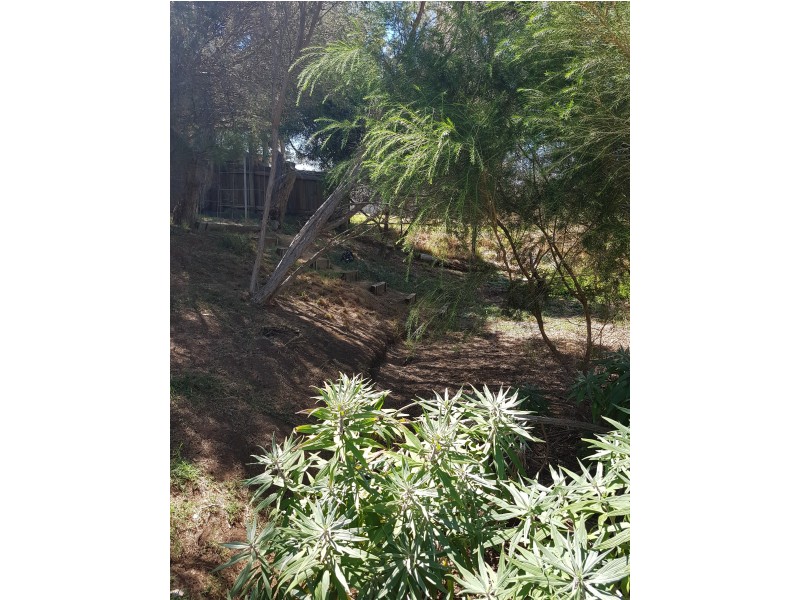 5 Hester Street, Bridgetown WA 6255