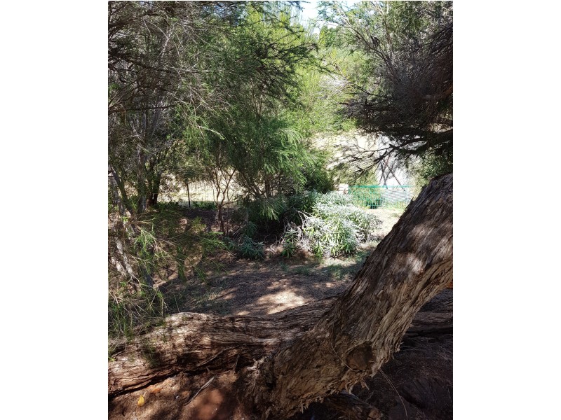 5 Hester Street, Bridgetown WA 6255