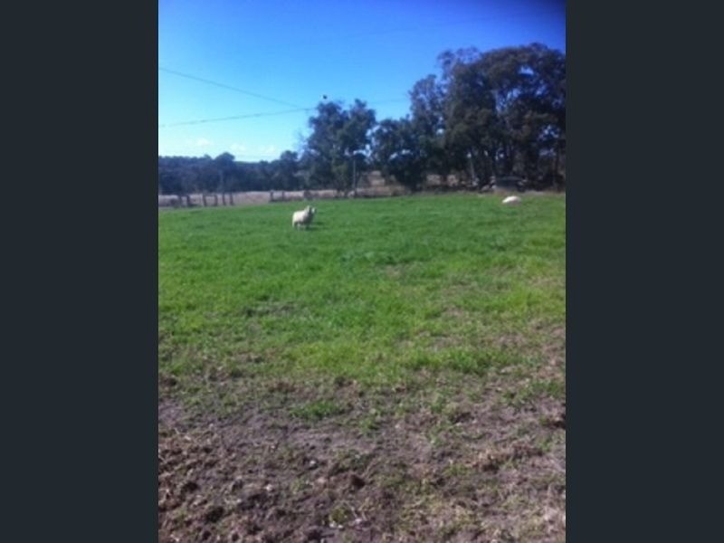 175 Kelly Road, Applethorpe QLD 4378