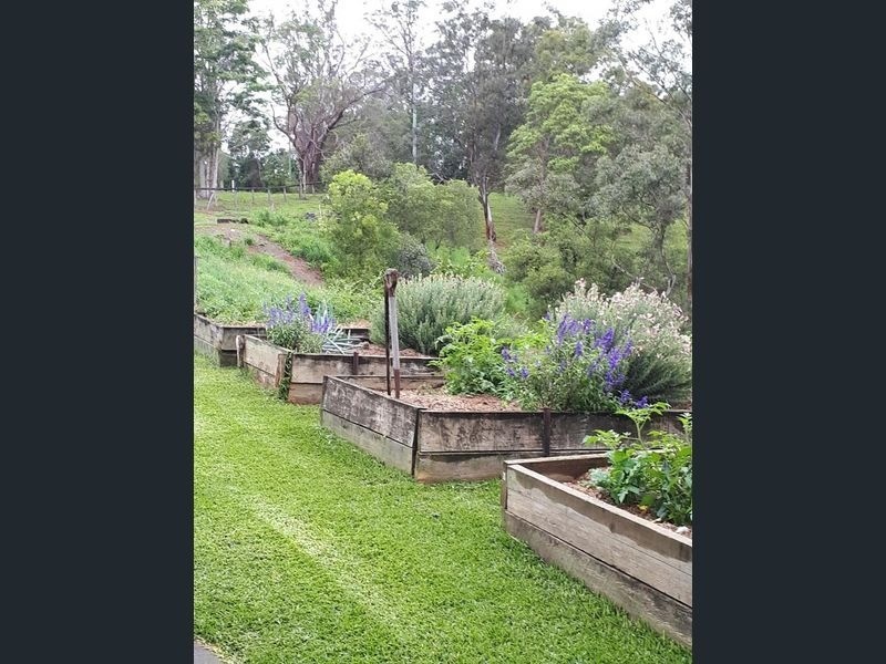 247 Black Mountain Range Road, Black Mountain QLD 4563