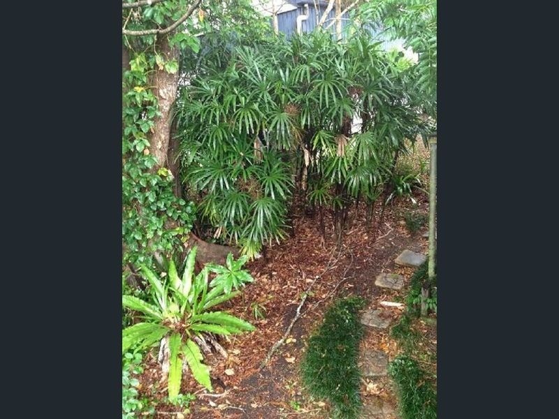 12 Pine Street, Pomona QLD 4568