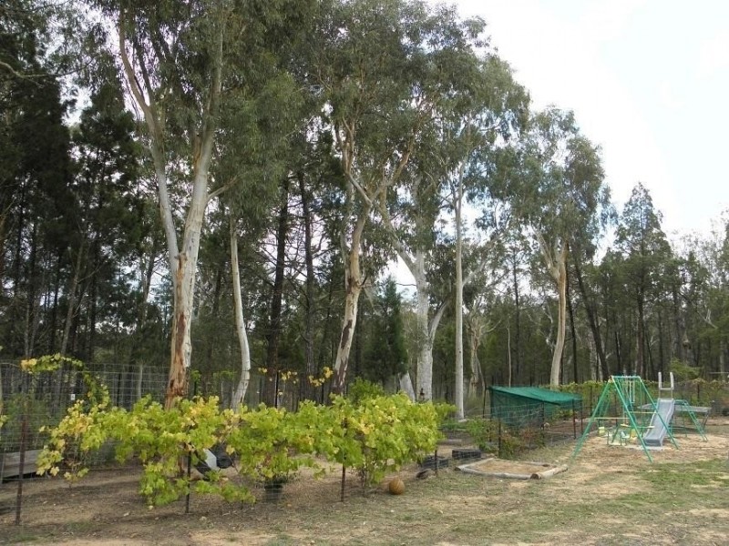 7 Hawkins Lane, Coonabarabran NSW 2357