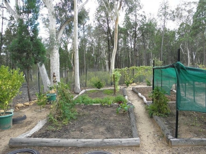 7 Hawkins Lane, Coonabarabran NSW 2357