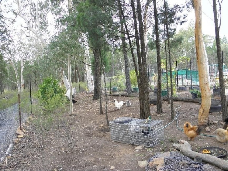 7 Hawkins Lane, Coonabarabran NSW 2357