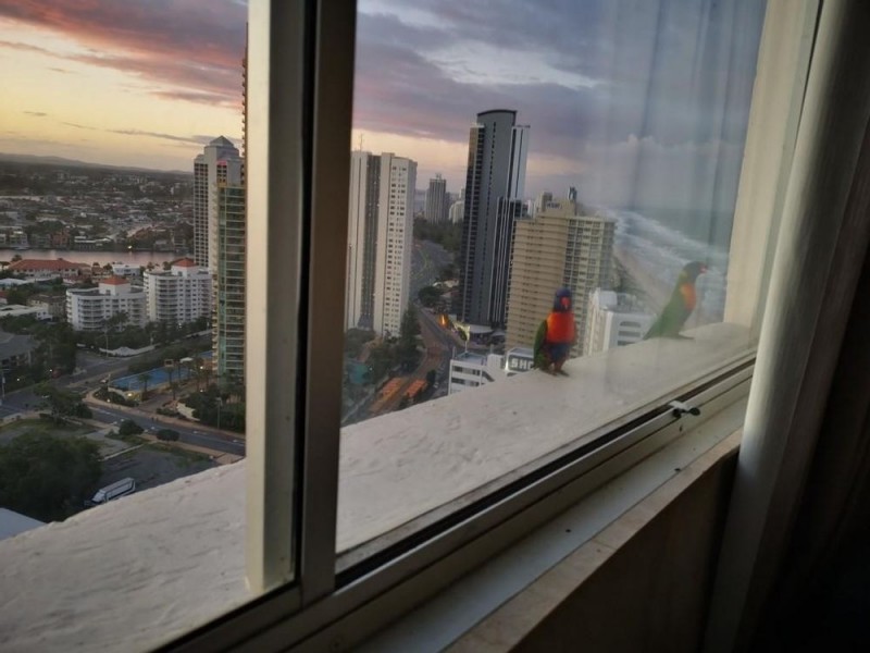 114 Esplanade, Surfers Paradise QLD 4217