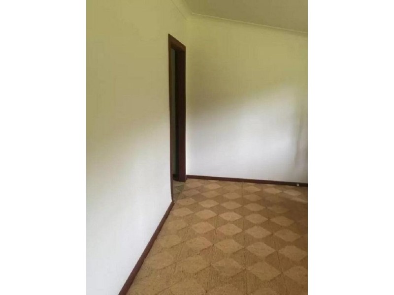 3716 Allyn River Road, Dungog NSW 2420