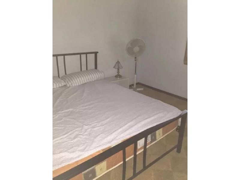 3716 Allyn River Road, Dungog NSW 2420