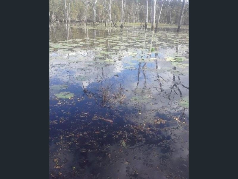 179 Steeds Road, Winfield QLD 4670