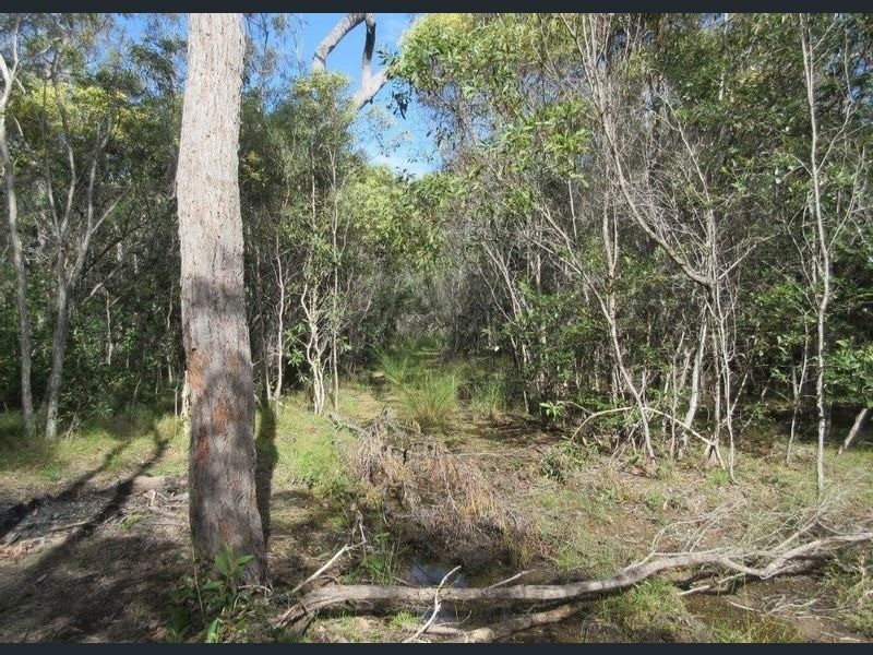 179 Steeds Road, Winfield QLD 4670