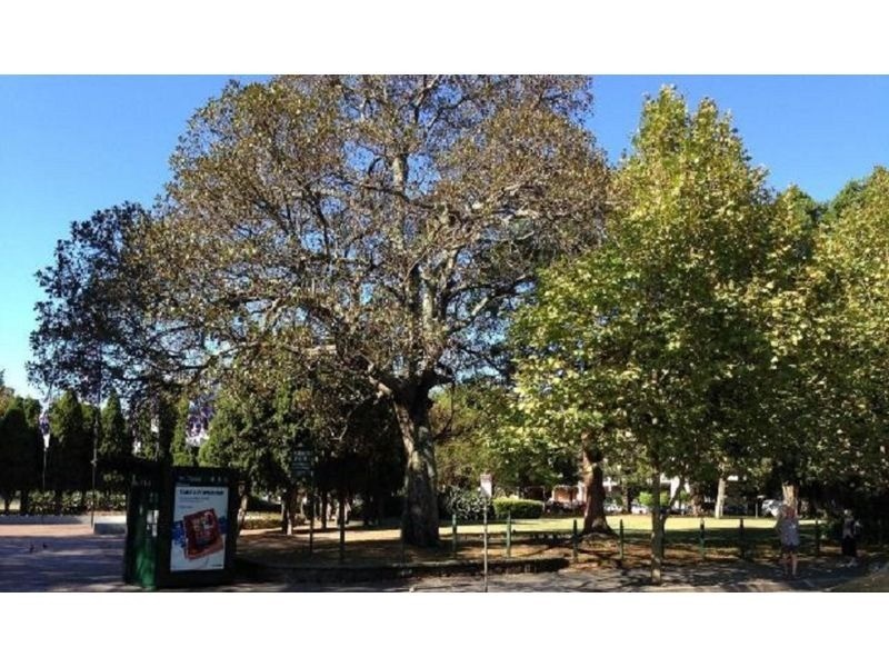 8/183 Alison Road, Randwick NSW 2031