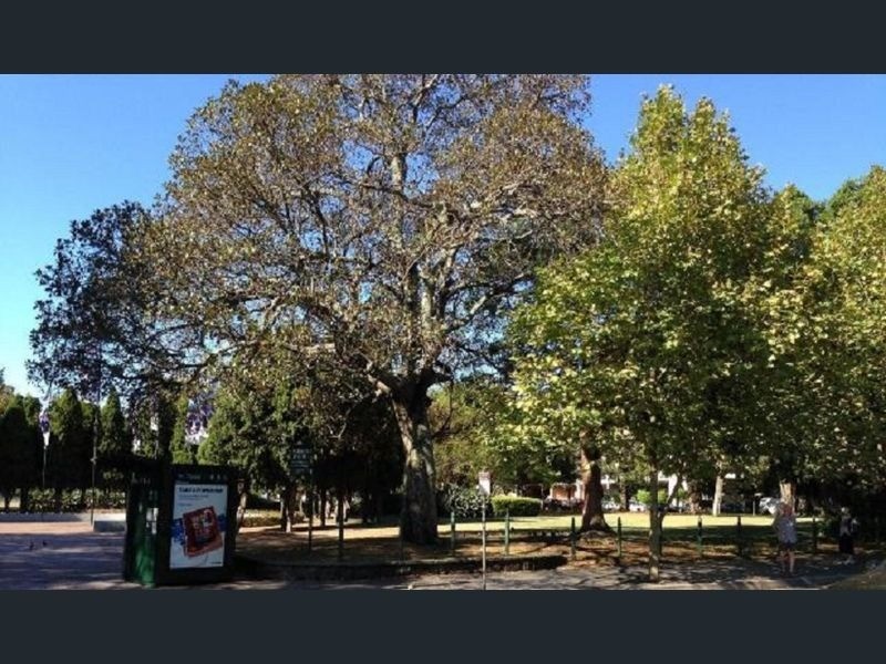 1/183 Alison Road, Randwick NSW 2031