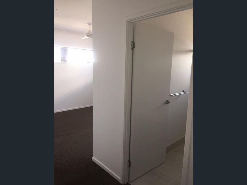 19 Agility Place, Birtinya QLD 4575