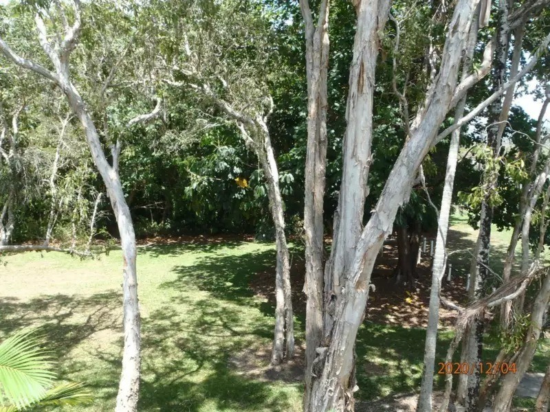 17/101 Wattle Street, Yorkeys Knob QLD 4878