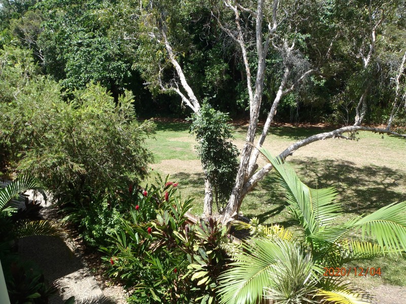 17/101 Wattle Street, Yorkeys Knob QLD 4878