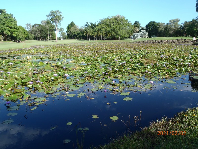 17/101 Wattle Street, Yorkeys Knob QLD 4878