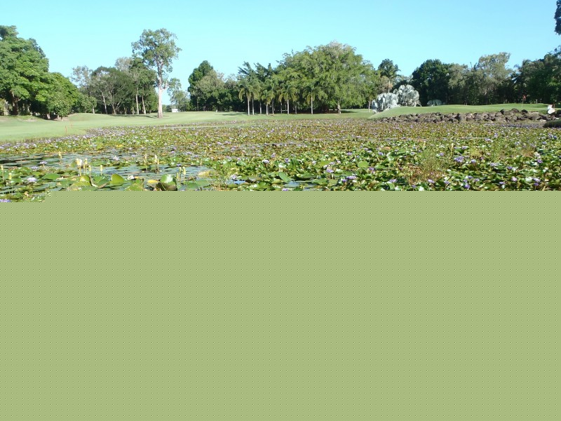 17/101 Wattle Street, Yorkeys Knob QLD 4878