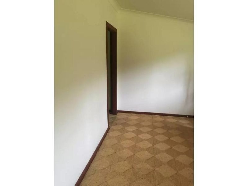 3716 Allyn River Road, Dungog NSW 2420