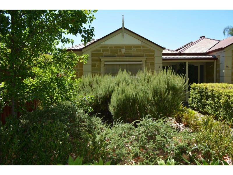 9 Clark Street, Wayville SA 5034