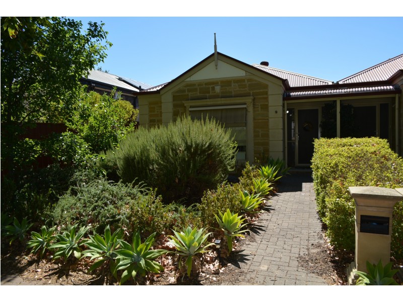 9 Clark Street, Wayville SA 5034