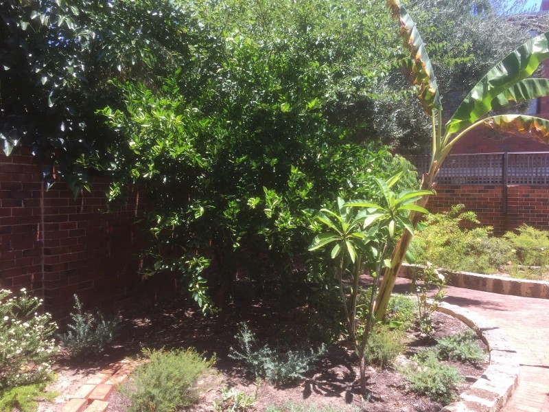133 Derby Road, Shenton Park WA 6008