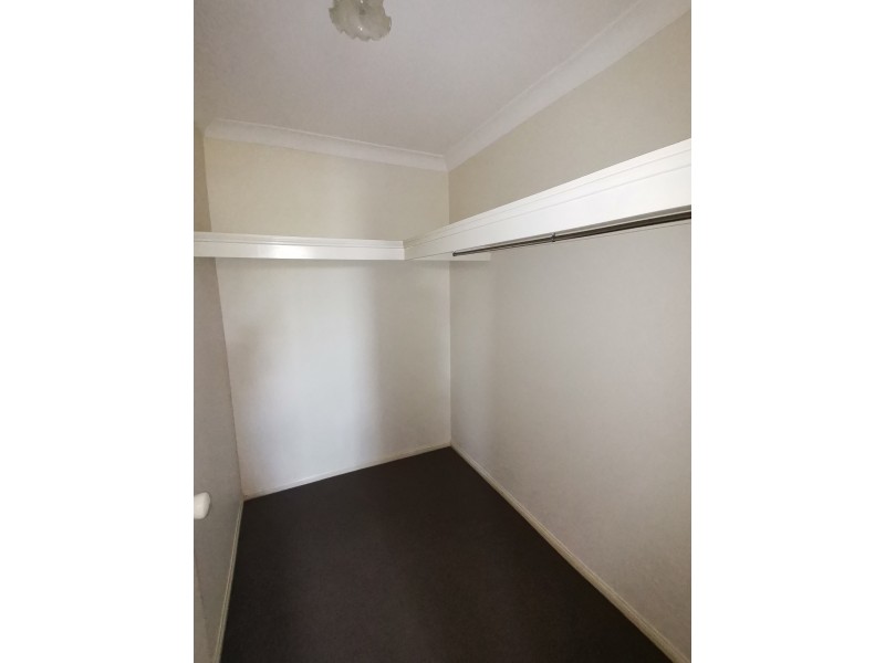 31 Belfry Place, Oxley QLD 4075