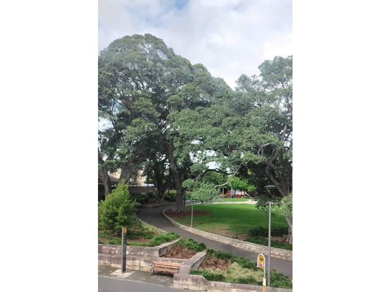 215A Glebe Point Road, Glebe NSW 2037