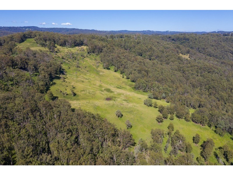 674 Harness Cask Road, Tyringham NSW 2453