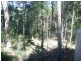 0117 Boomerang Road, Tamborine QLD 4270