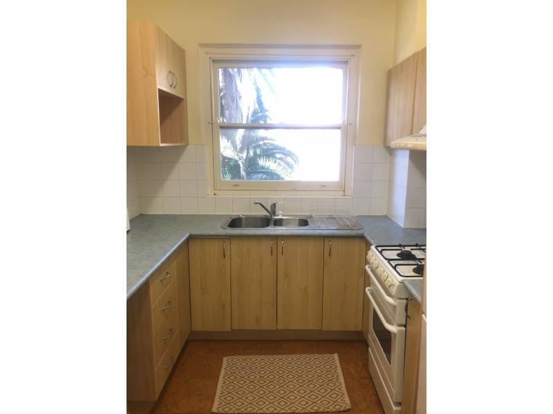 176 Ebley Street, Bondi Junction NSW 2022