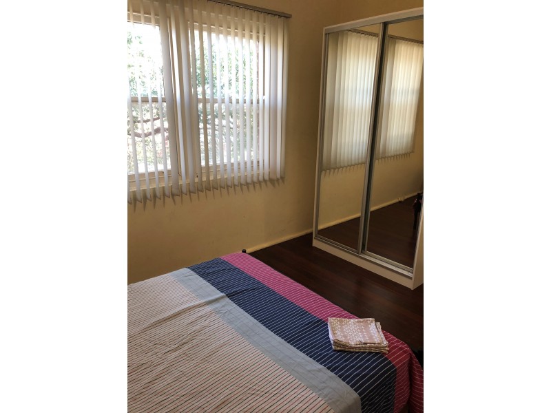 176 Ebley Street, Bondi Junction NSW 2022