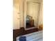 176 Ebley Street, Bondi Junction NSW 2022
