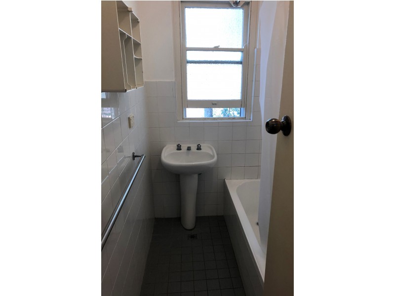 176 Ebley Street, Bondi Junction NSW 2022