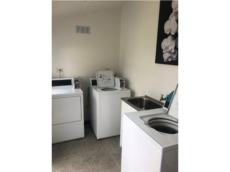 176 Ebley Street, Bondi Junction NSW 2022