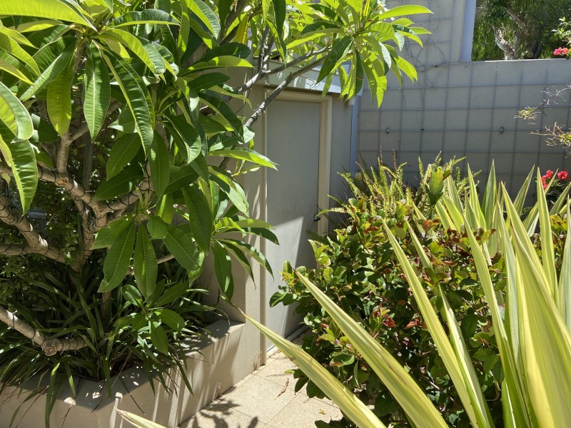 50B Jackson Avenue, Karrinyup WA 6018