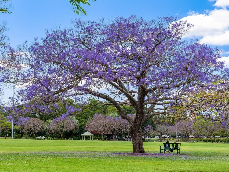 16/120 Sydney Street, New Farm QLD 4005