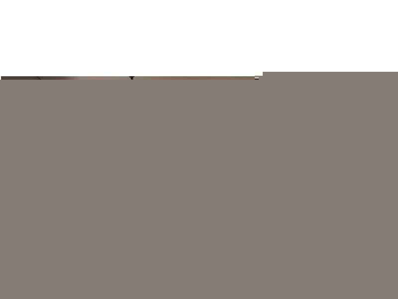 38 Boreham Street, Cottesloe WA 6011