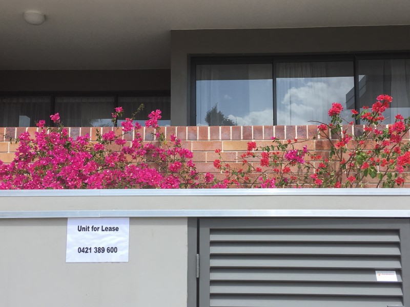 102/9 Allardyce Street, Graceville QLD 4075