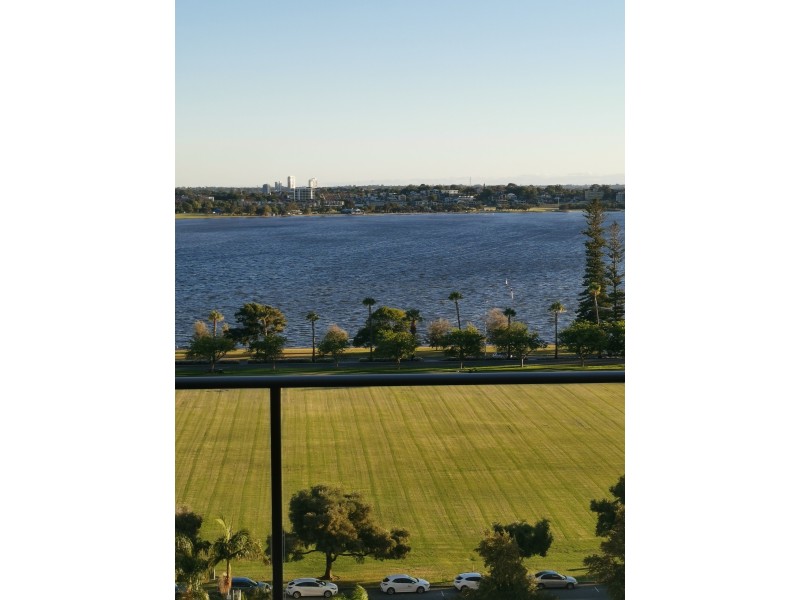 73/151 Adelaide Terrace, East Perth WA 6004