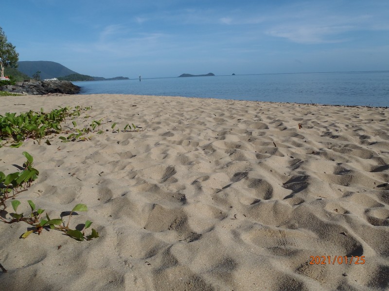 17/101 Wattle Street, Yorkeys Knob QLD 4878