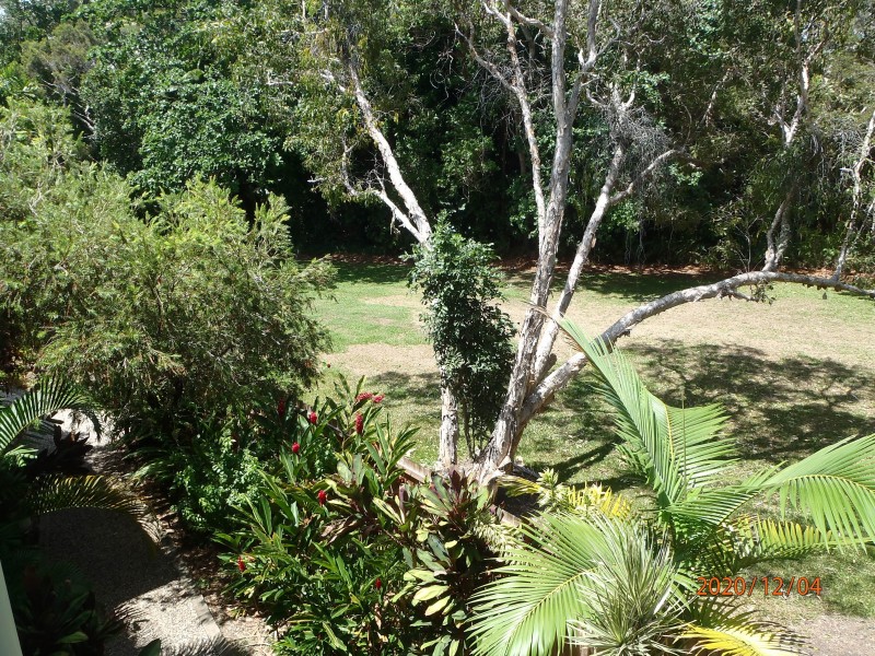 17/101 Wattle Street, Yorkeys Knob QLD 4878