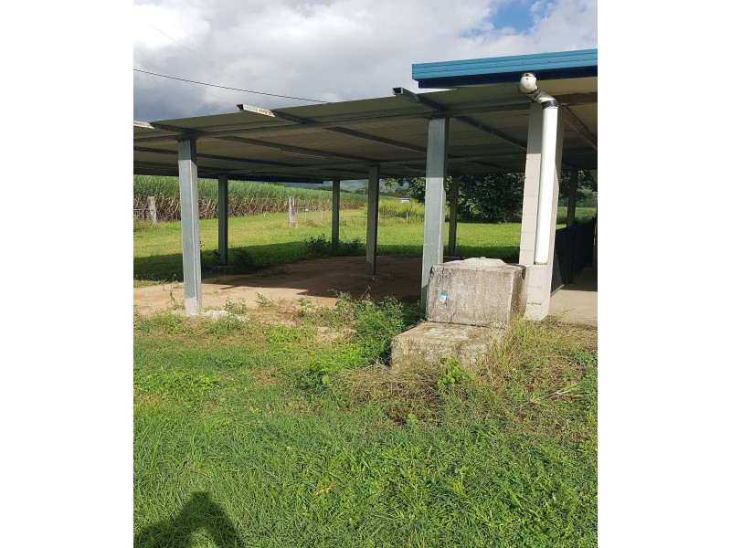 490 Middle Murray Road, Murray Upper QLD 4854