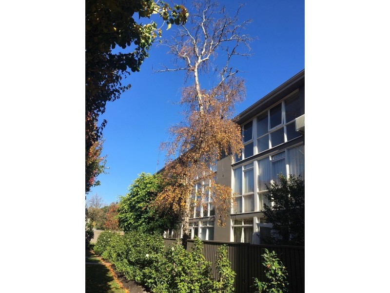 14 Springfield Avenue, Toorak VIC 3142