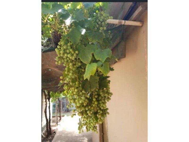 30 Church Street, Werribee VIC 3030