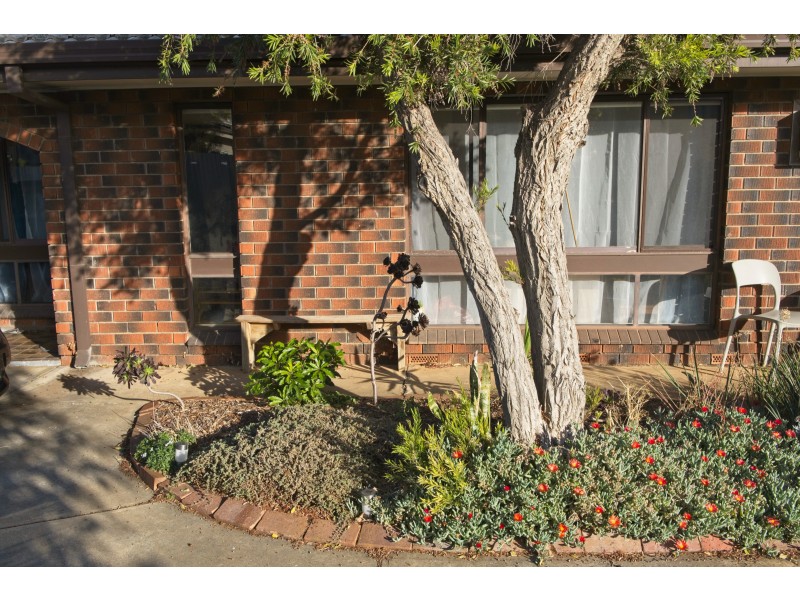 2/1 Stephens Avenue, Torrensville SA 5031